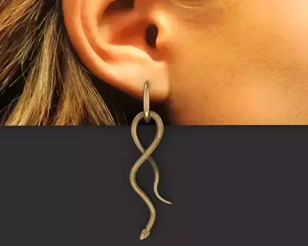 Earrings snake  3D print model