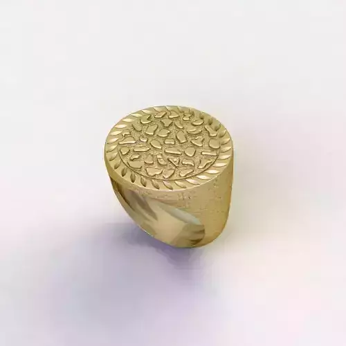 sagnet ring stone texture 3D print model