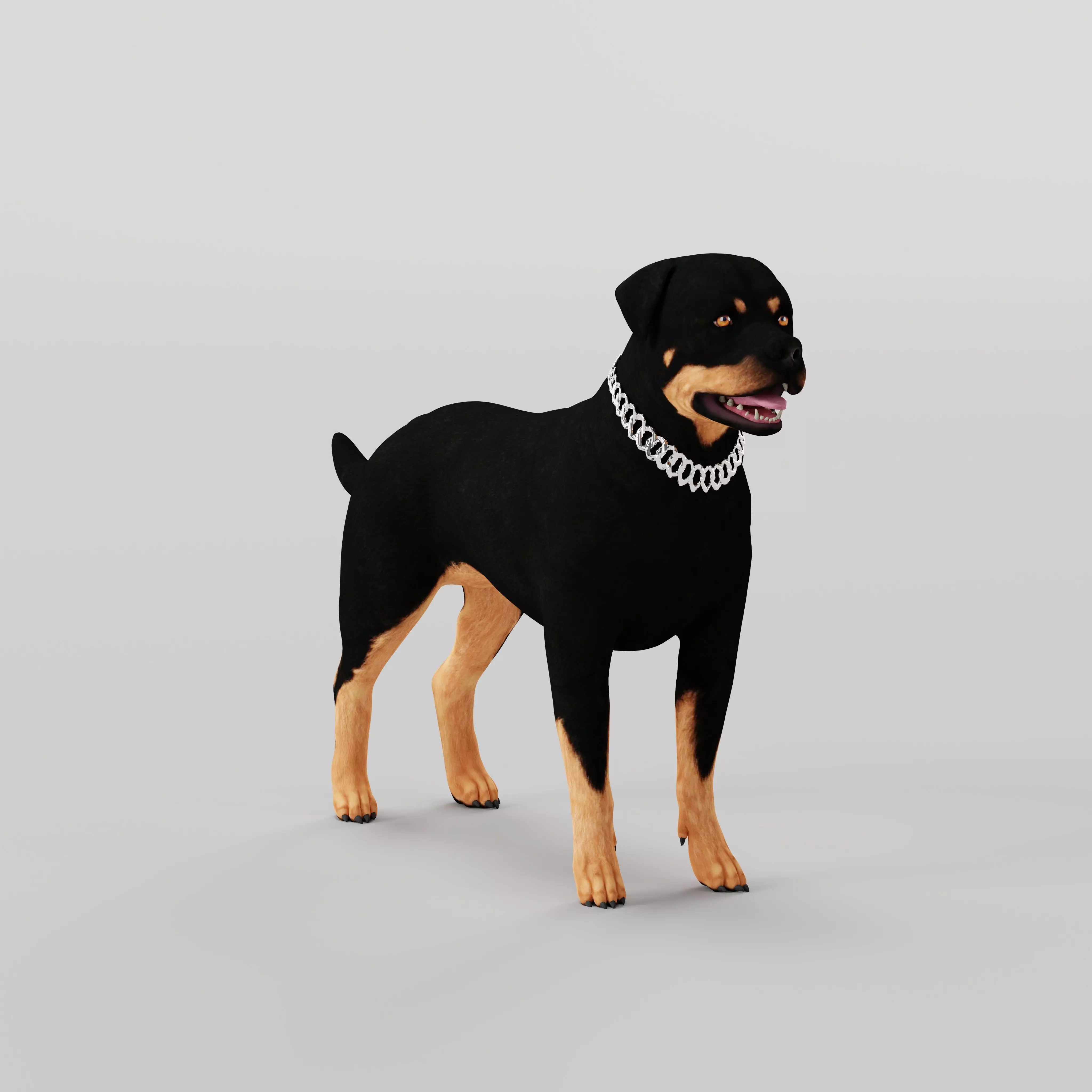 Rottweiler Dog Low-poly 3D model
