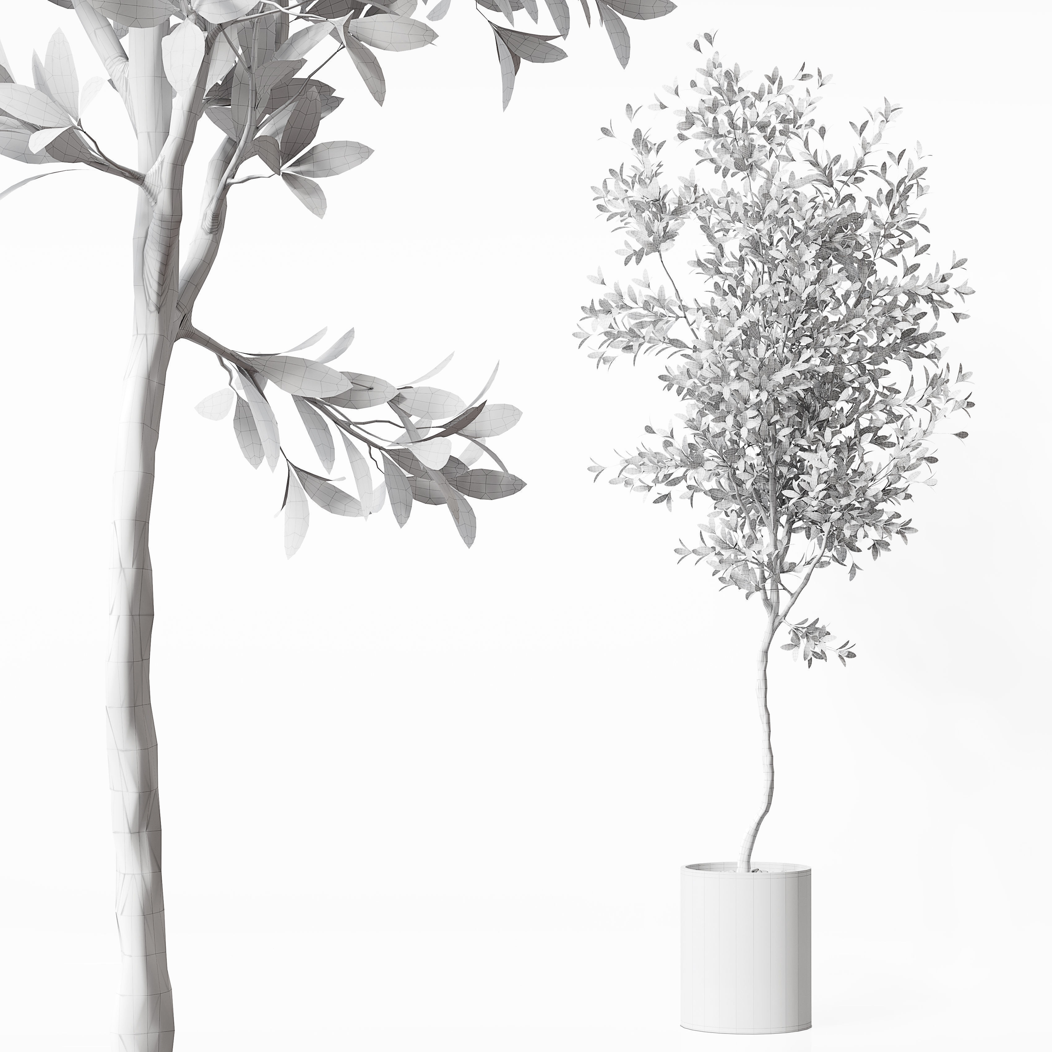 Indoor Plant 21 Low-poly 3D model_3