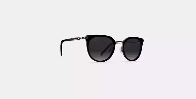 Whittier Sunglasses in Jet Black with Polished Gold