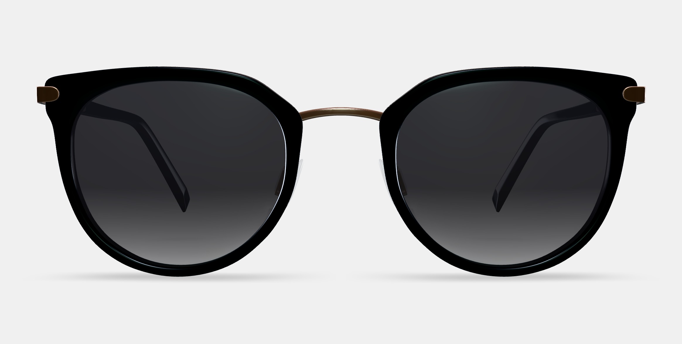 Whittier Sunglasses in Jet Black with Polished Gold 3D model_11