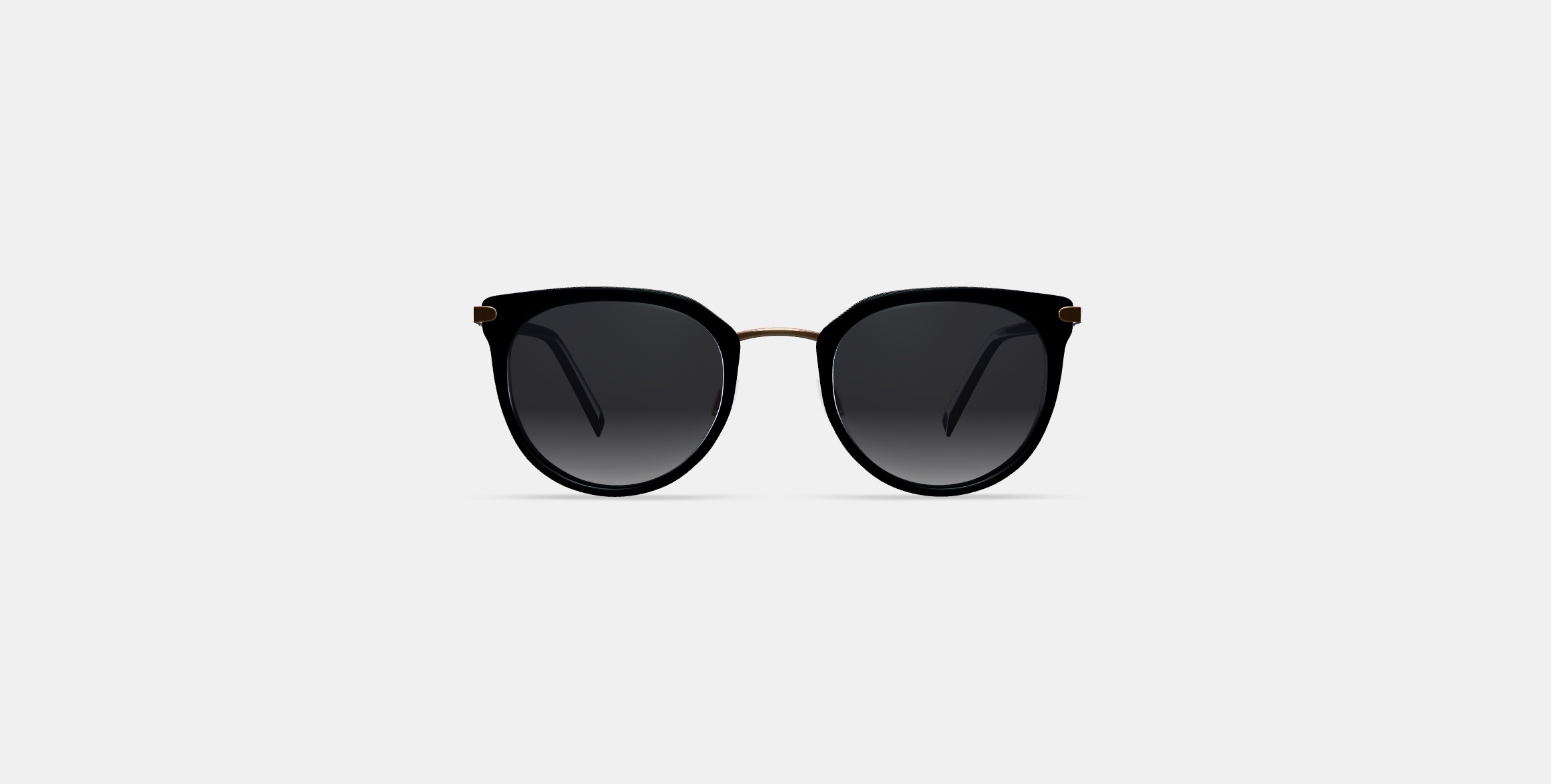 Whittier Sunglasses in Jet Black with Polished Gold 3D model_10