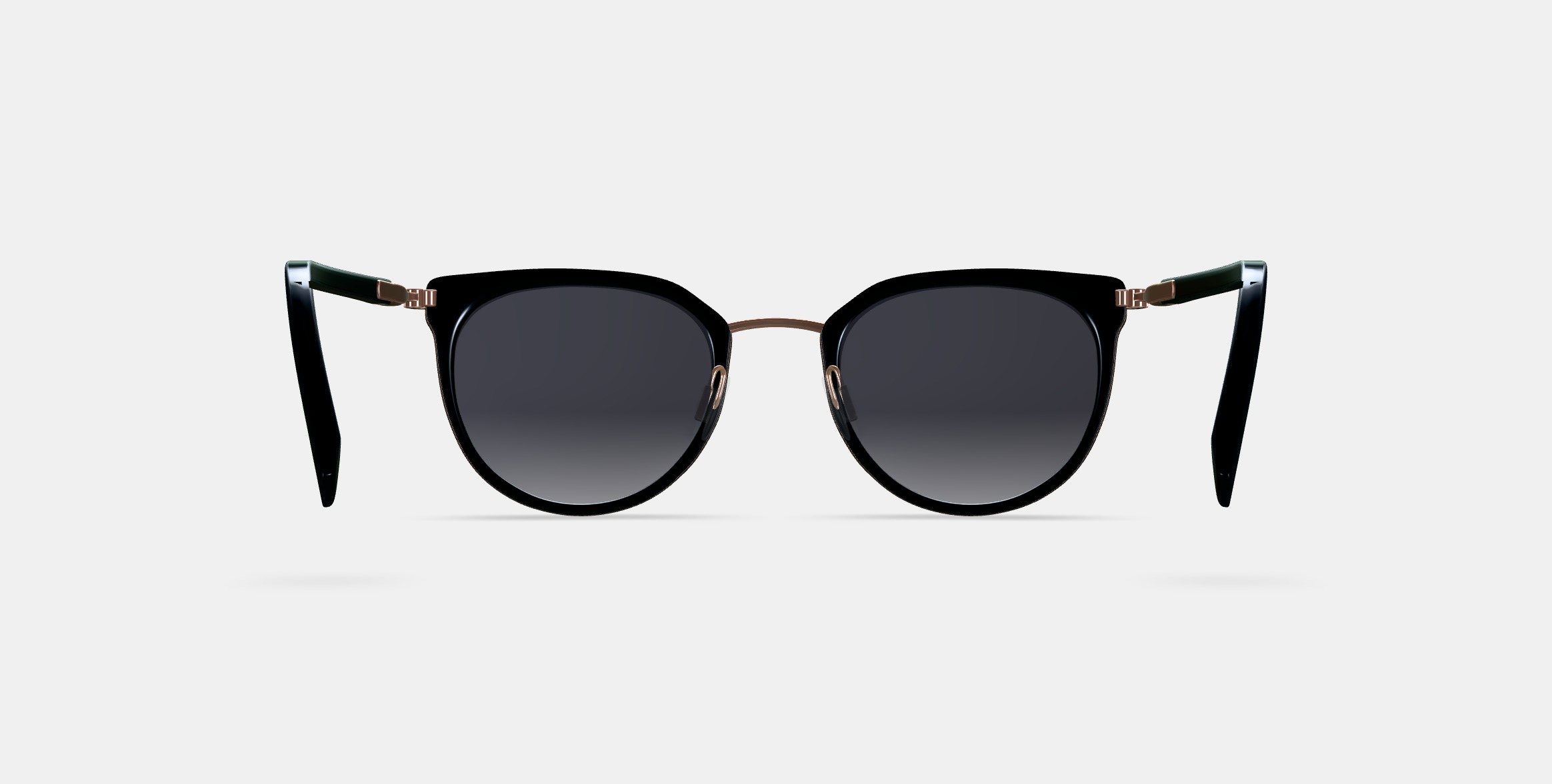 Whittier Sunglasses in Jet Black with Polished Gold 3D model_15