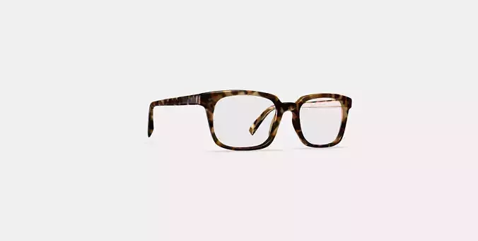 Mullins Eyeglasses in Acorn Tortoise 3D model
