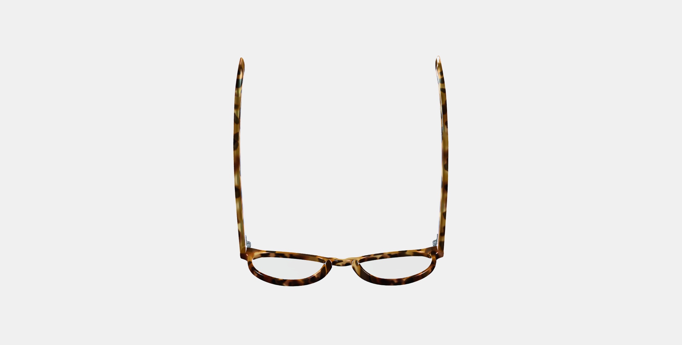 Whalen Eyeglasses in Acorn Tortoise 3D model_7