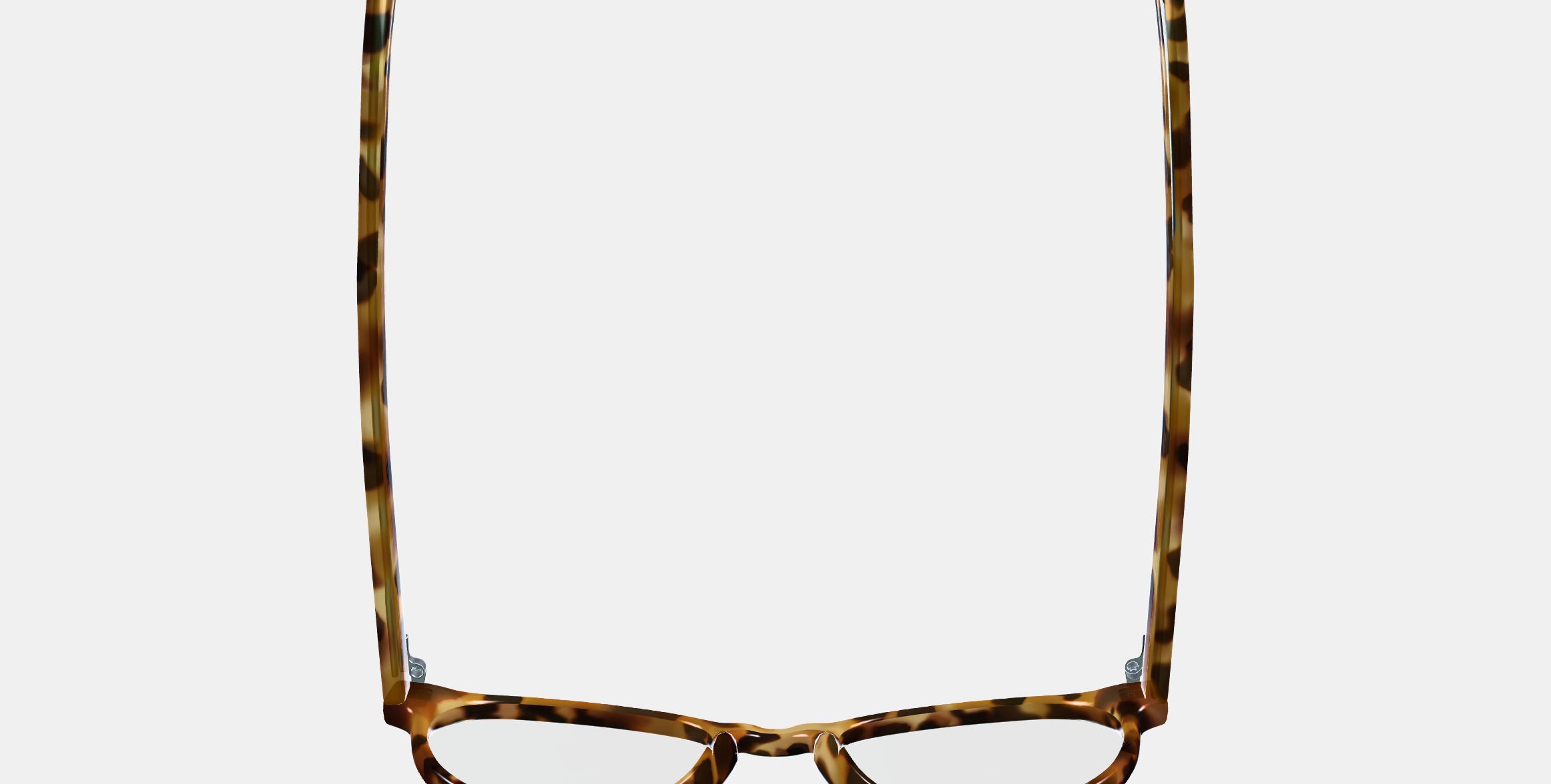 Whalen Eyeglasses in Acorn Tortoise 3D model_8