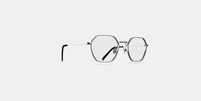 Keiko Eyeglasses in Polished Silver 3D model
