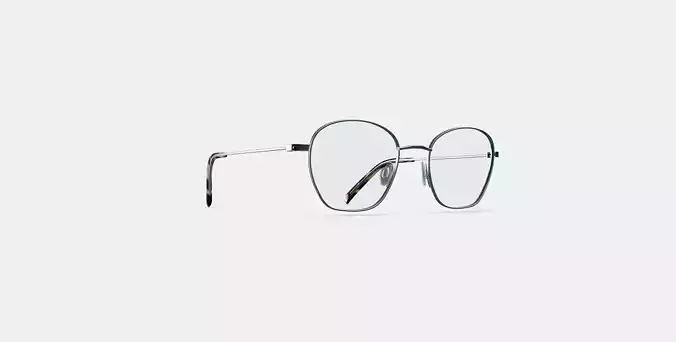Robbie Eyeglasses in Antique Silver 3D model