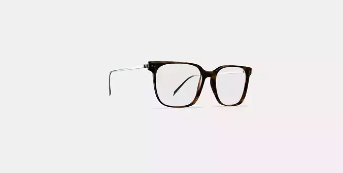 Caleb Eyeglasses in Woodgrain Tortoise with Polished Silver 3D model