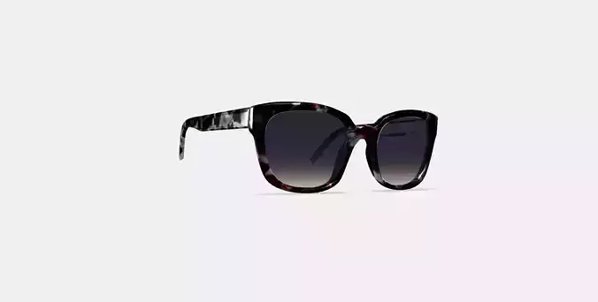 Aubrey Sunglasses in Garnet Tortoise 3D model