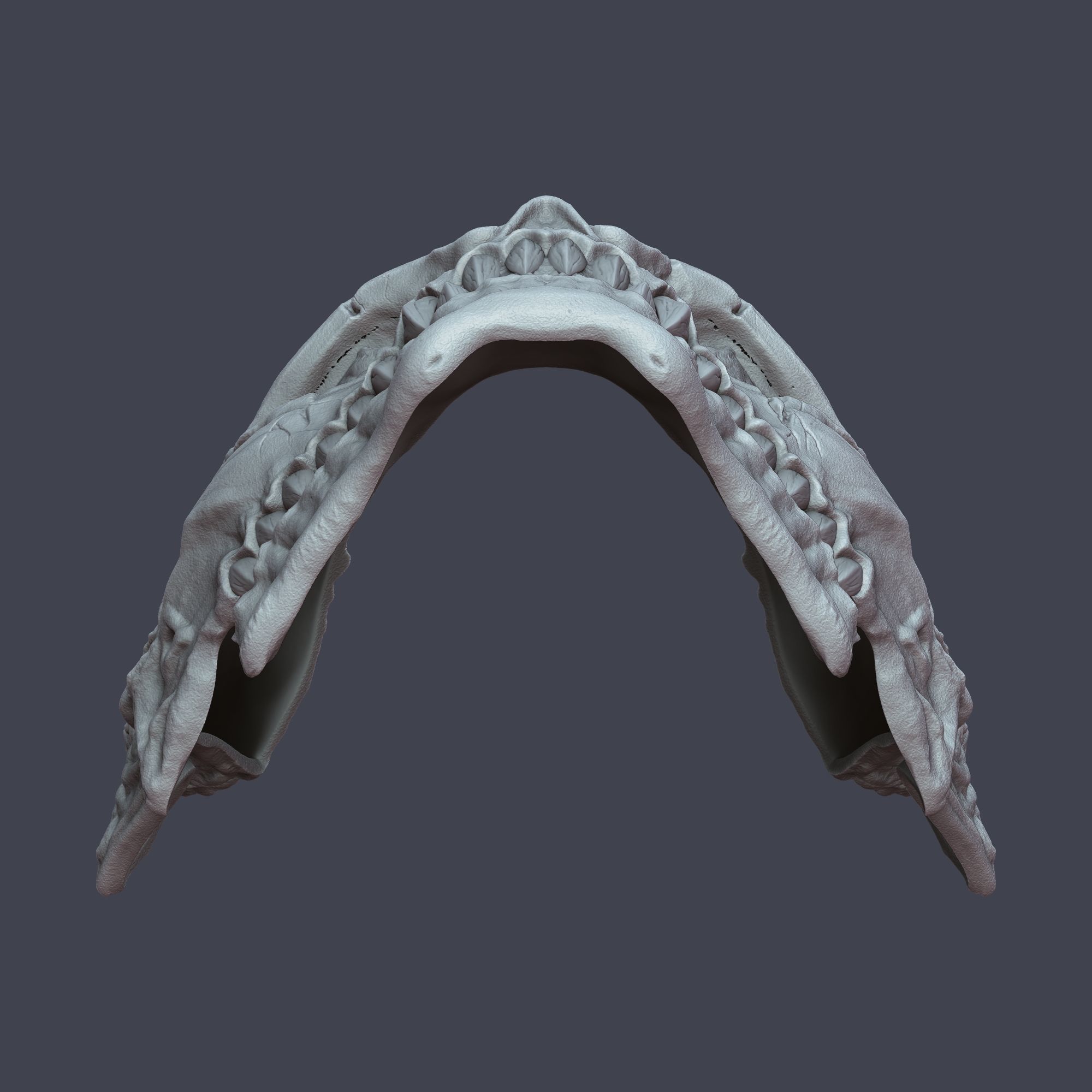 Kaiju No8 Inspired 3D Mask Model 2 Versions 3D print model_8