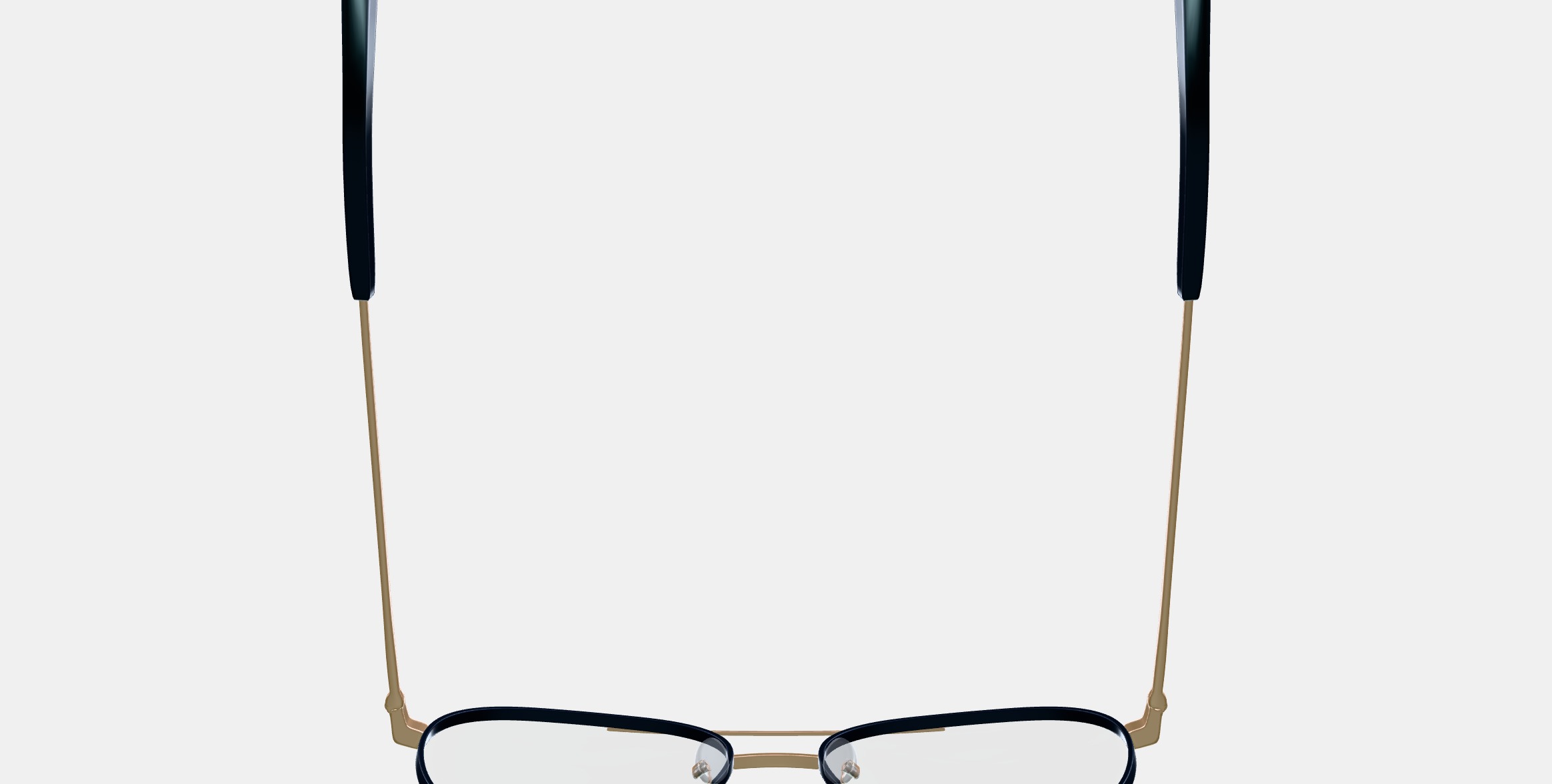 York Eyeglasses in Brushed Ink with Polished Gold 3D model_8