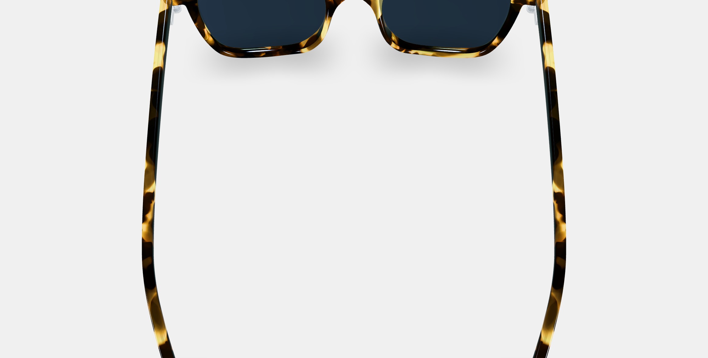 Griffin Sunglasses in Burnt Honeycomb Tortoise 3D model_3