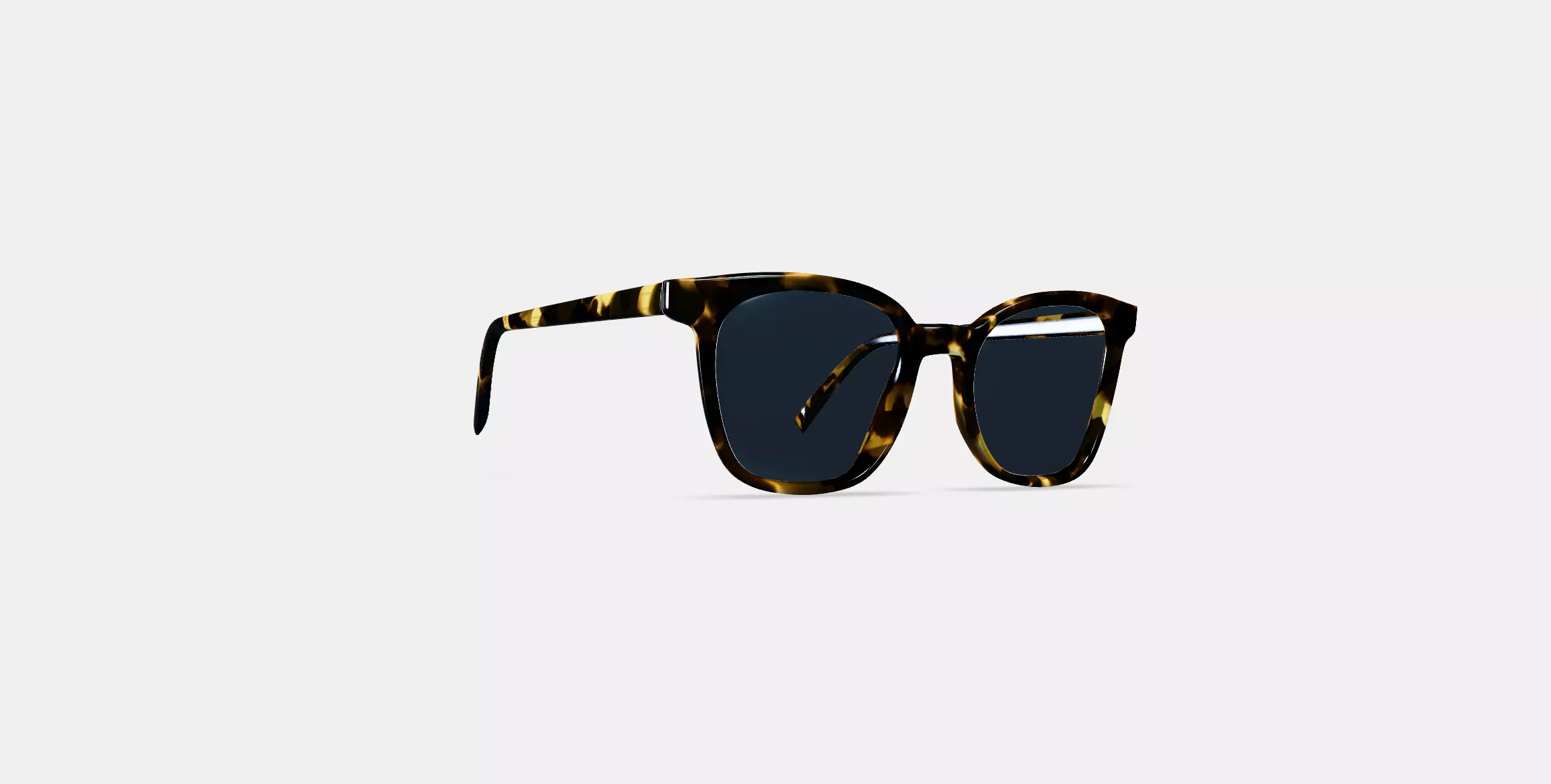 Griffin Sunglasses in Burnt Honeycomb Tortoise 3D model_0