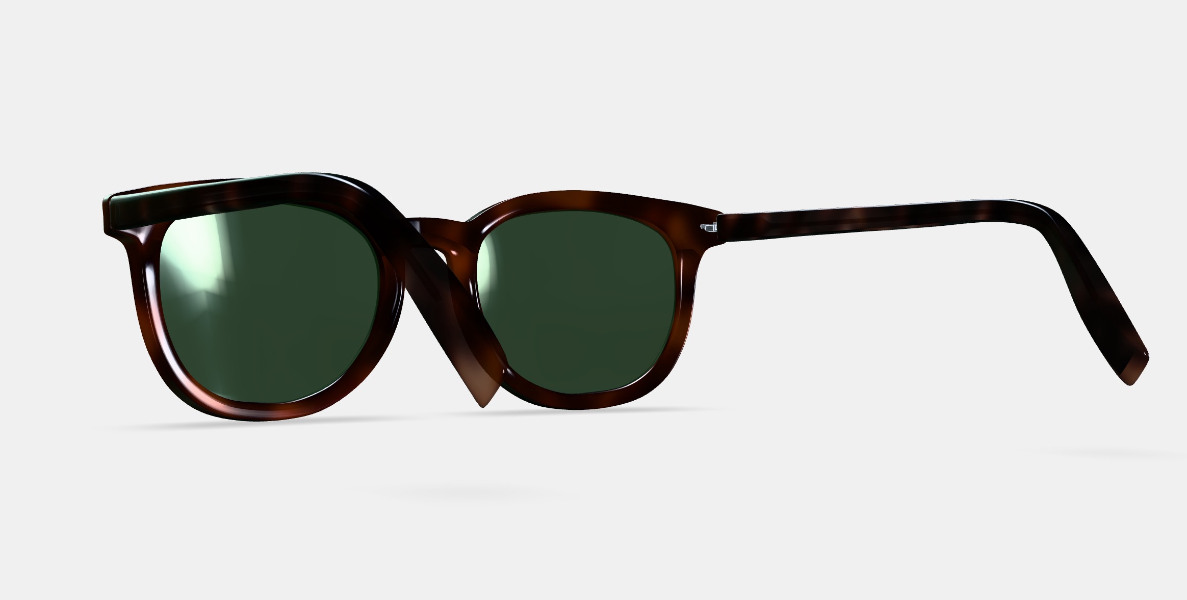 Ryland Sunglasses in Cognac Tortoise 3D model_3
