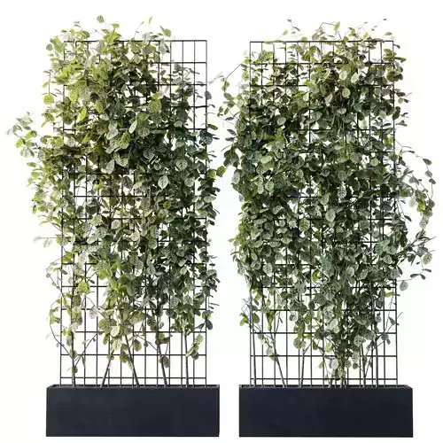 Plants set partition in metal frame 103 - Vertical graden ivy