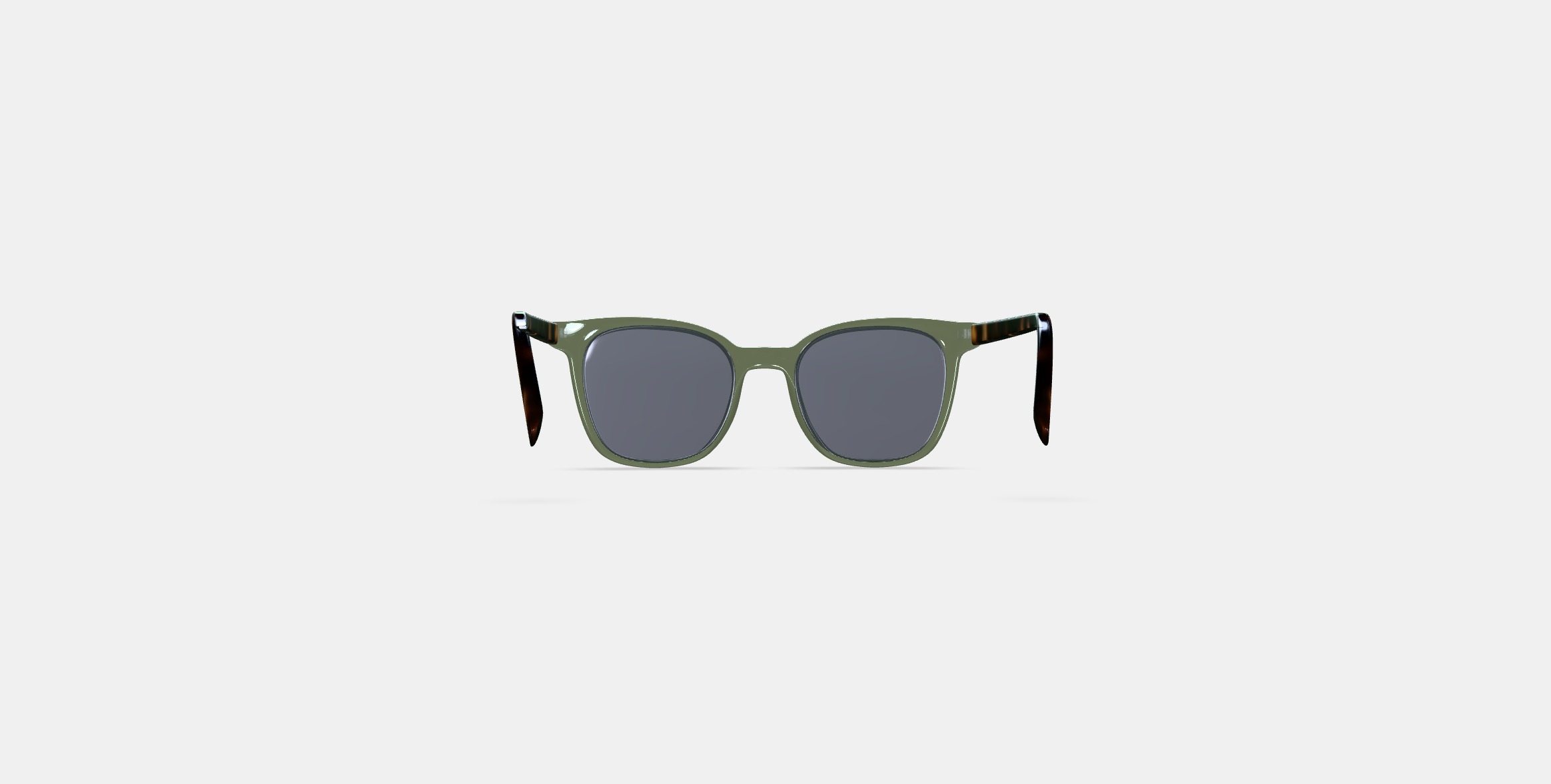 Griffin Sunglasses in Seaweed Crystal with Cognac Tortoise 3D model_13