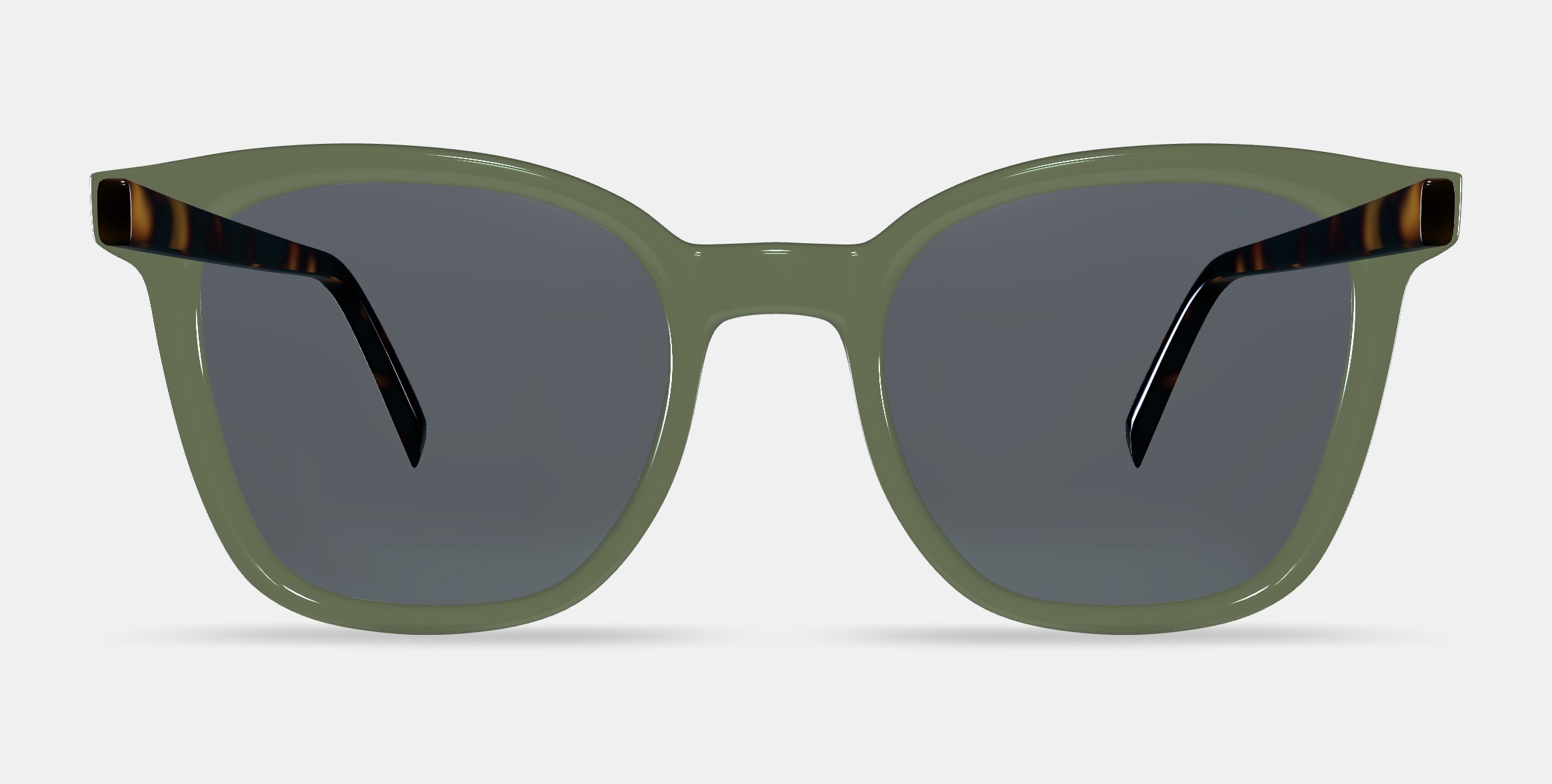 Griffin Sunglasses in Seaweed Crystal with Cognac Tortoise 3D model_11