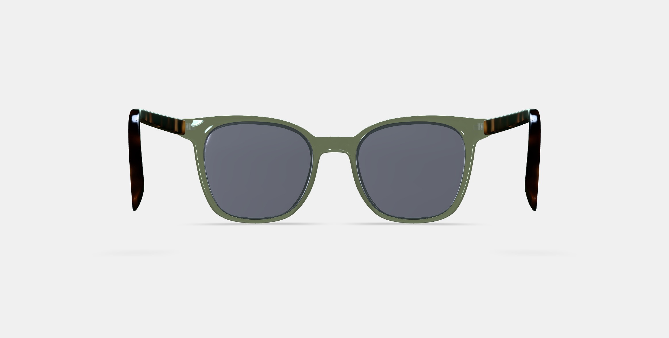 Griffin Sunglasses in Seaweed Crystal with Cognac Tortoise 3D model_15
