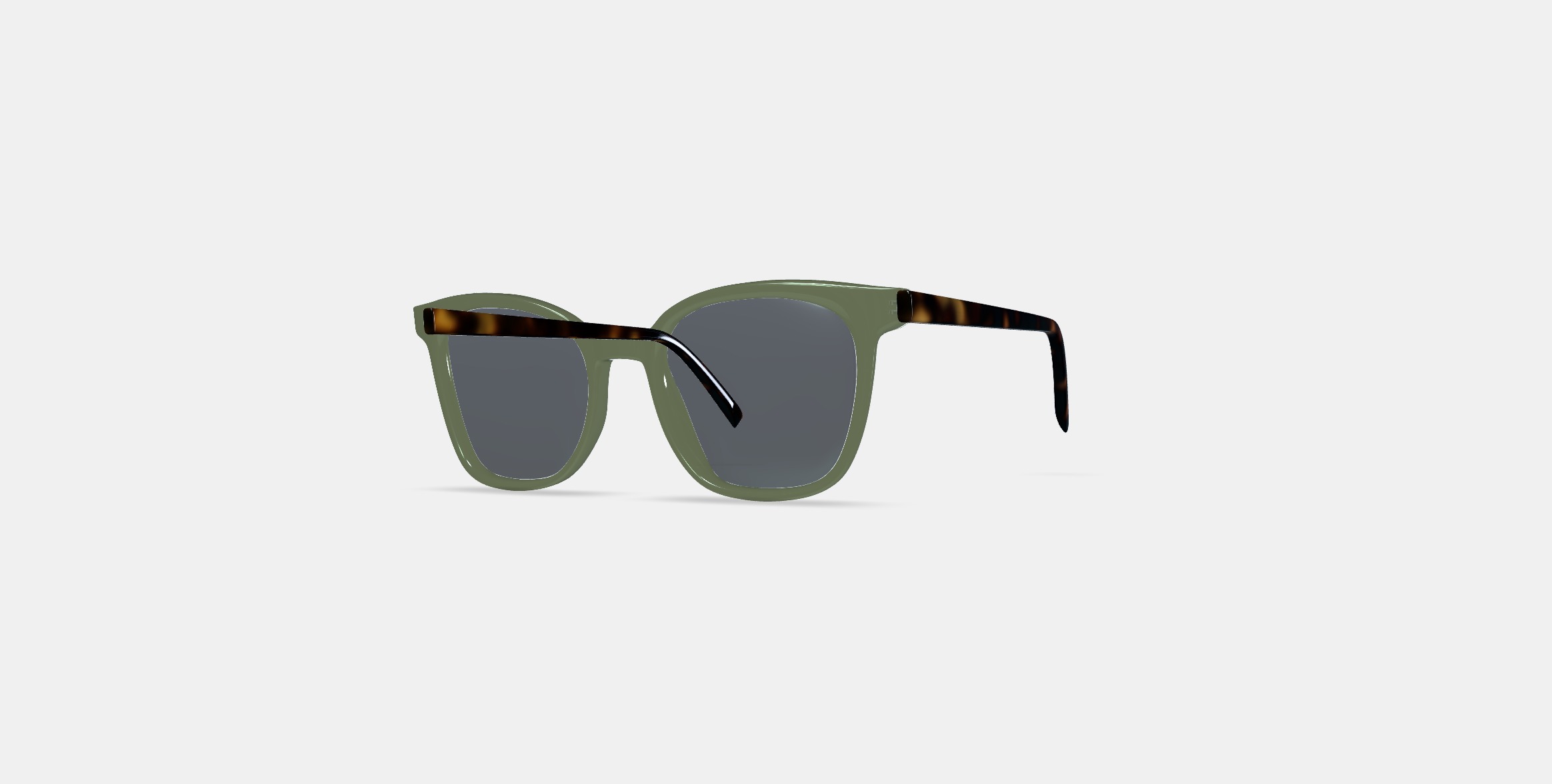 Griffin Sunglasses in Seaweed Crystal with Cognac Tortoise 3D model_12