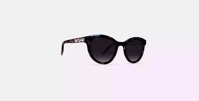 Raina Sunglasses in Confetti Tortoise 3D model