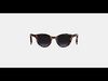 Raina Sunglasses in Confetti Tortoise 3D model_1