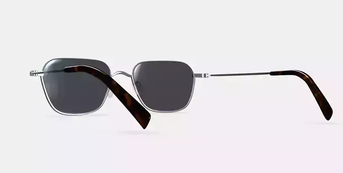Healey Sunglasses in Polished Silver