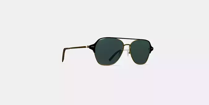 Corson Sunglasses in Jet Black with Polished Gold 3D model