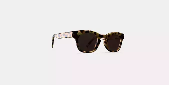 Kimball Sunglasses in Marzipan Tortoise