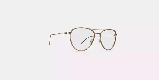 Sanaa Eyeglasses in Polished Gold with Oak Barrel 3D model