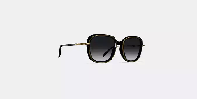 Safia Sunglasses in Jet Black with Polished Gold
