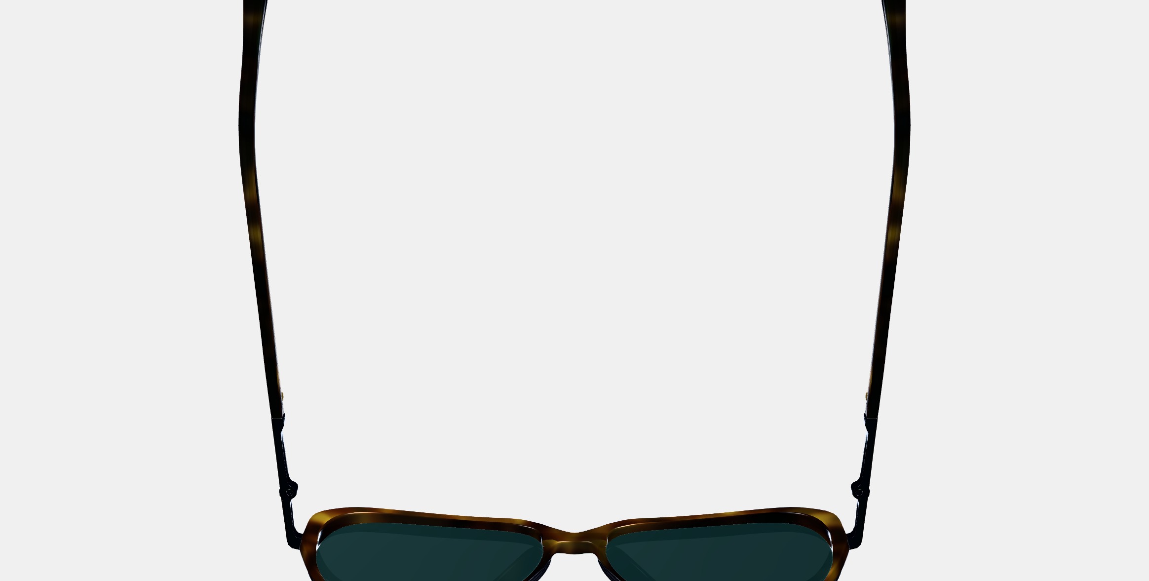 Florian Sunglasses in Cognac Tortoise with Brushed Ink 3D model_8
