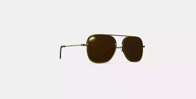 Brewster Eyeglasses in Woodgrain Tortoise 3D model