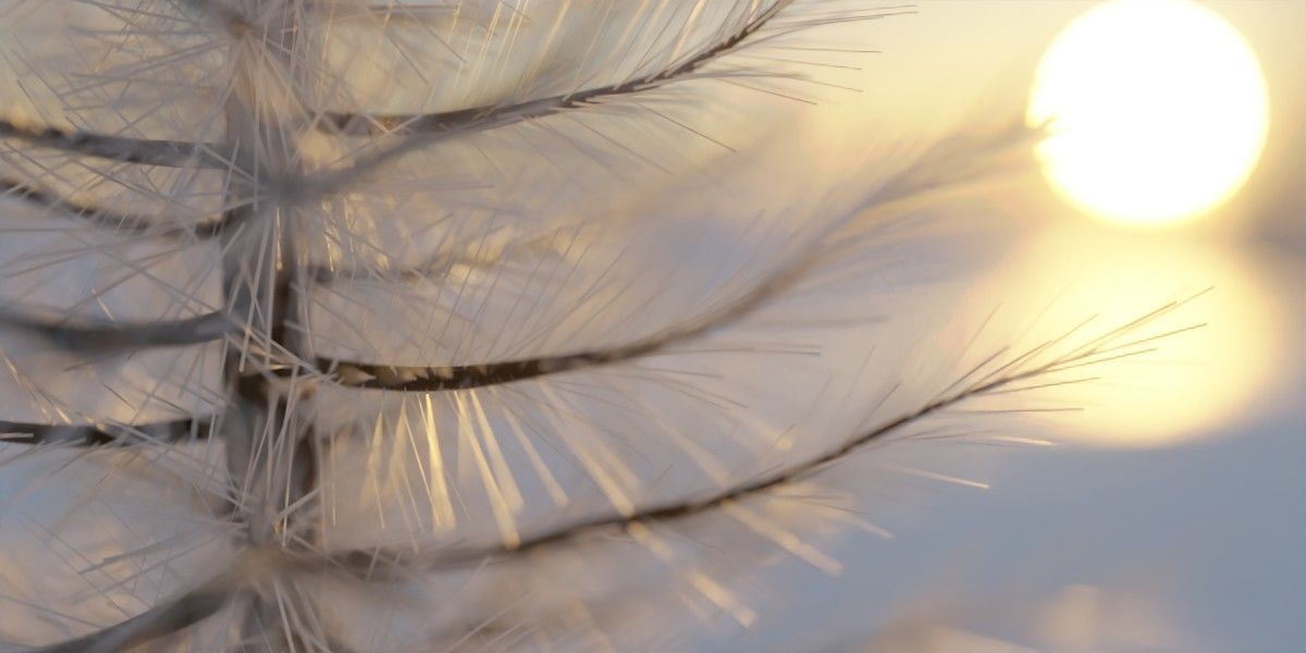 Hilly Snow Landscape Scene in Blender 3D model_10