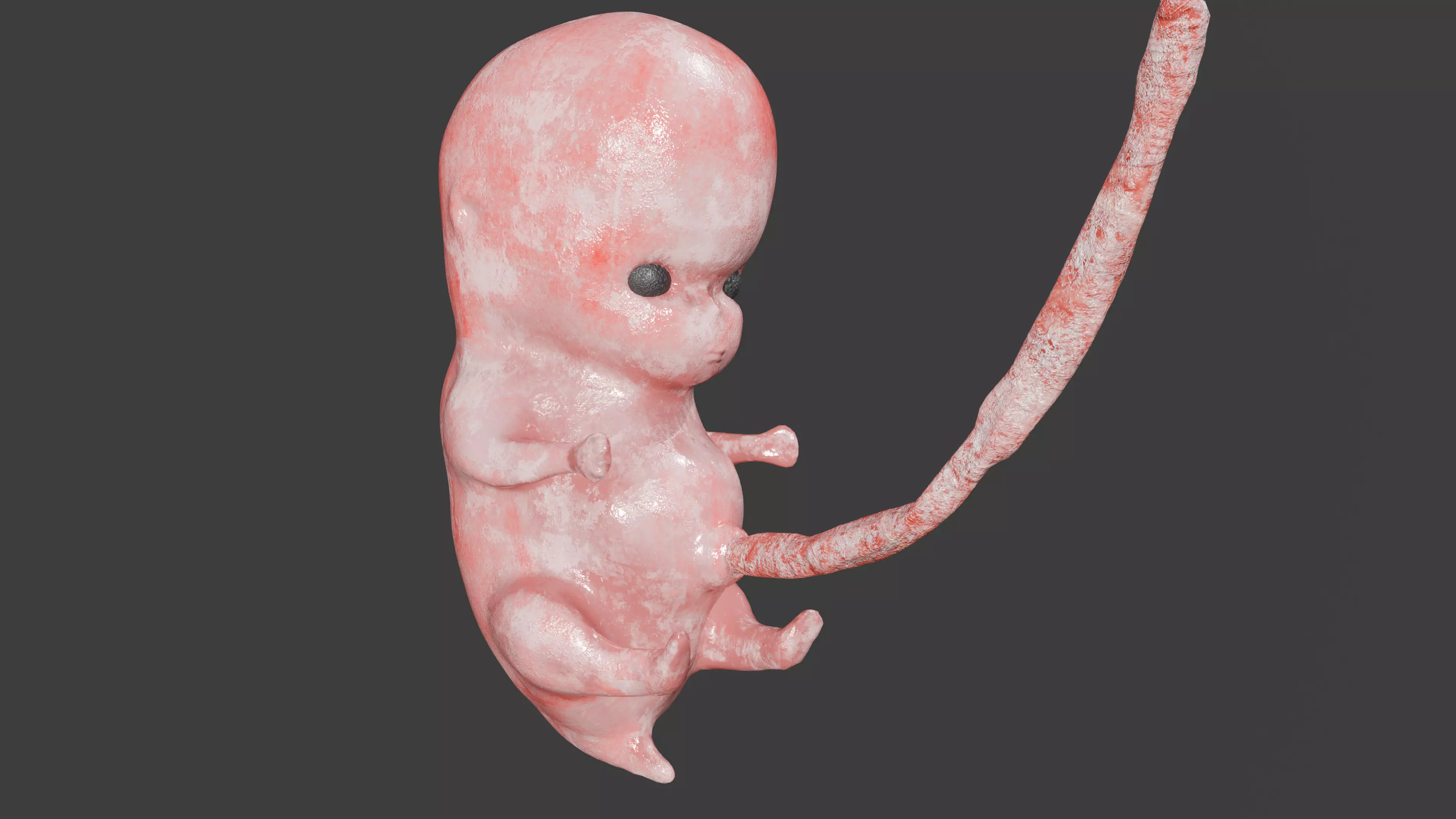 Low Poly Baby  Fetus Low-poly 3D model_0