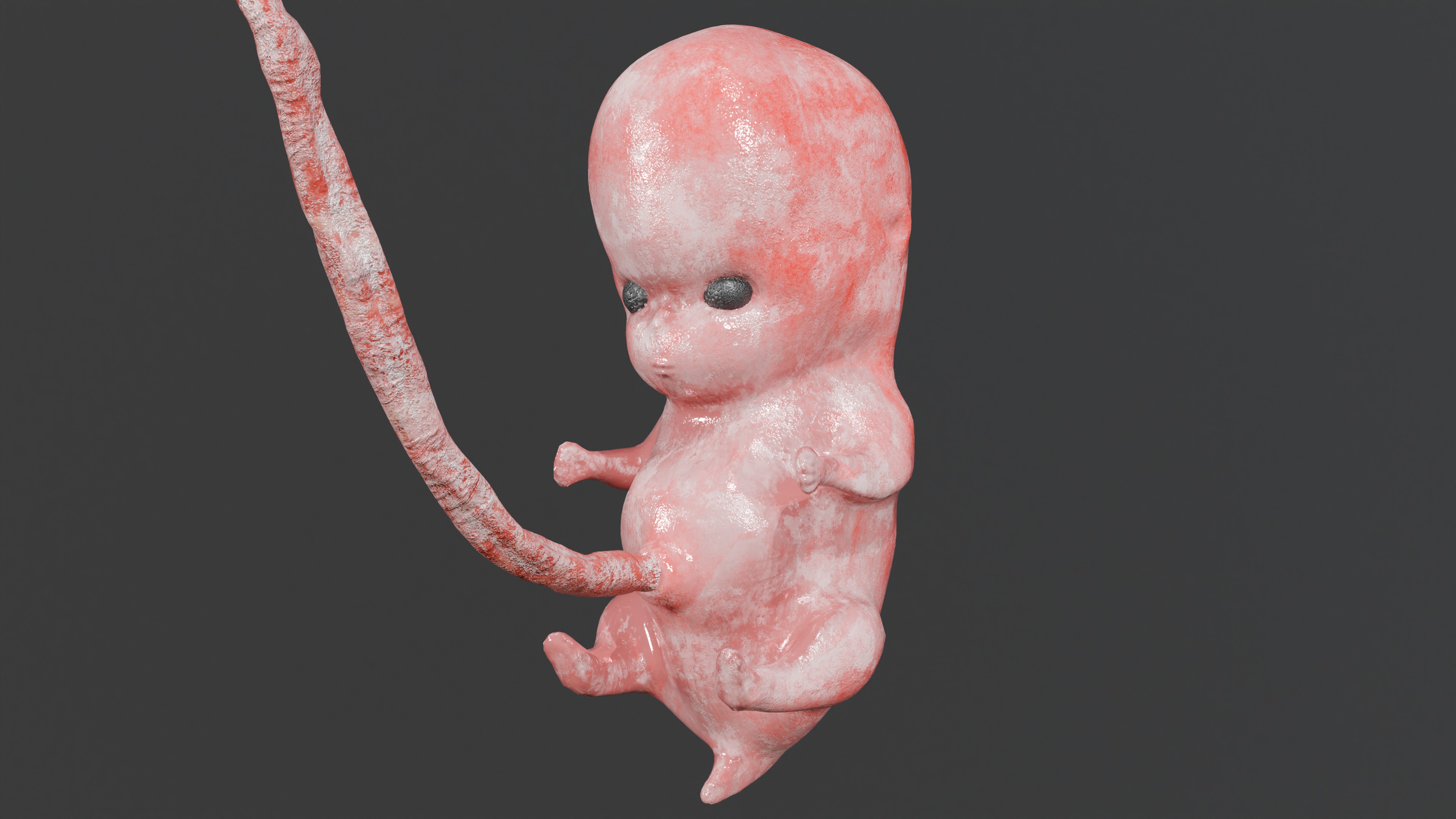 Low Poly Baby  Fetus Low-poly 3D model_2