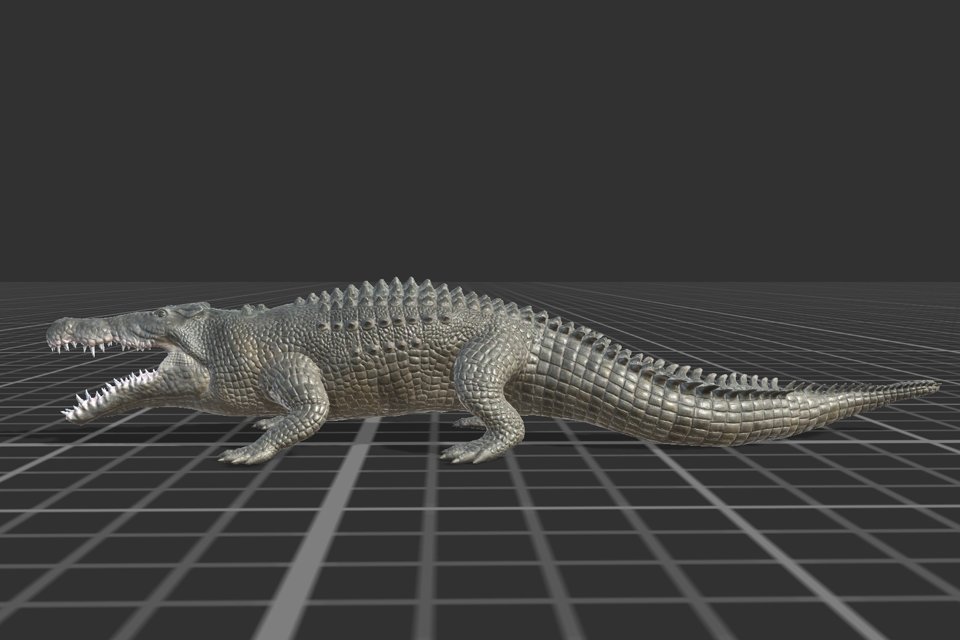 Saltwater Crocodile Low-poly 3D model_8