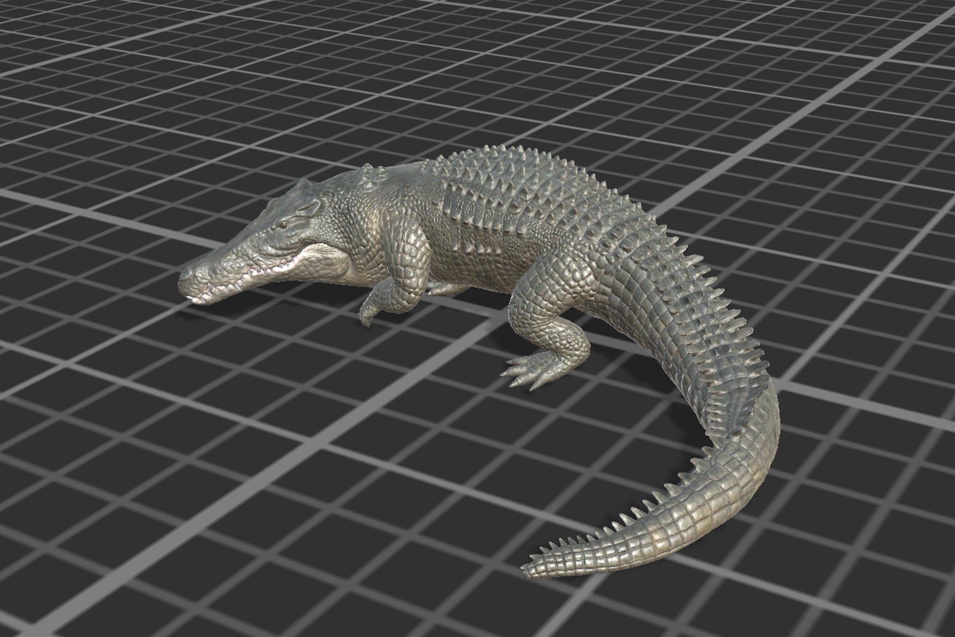 Saltwater Crocodile Low-poly 3D model_13