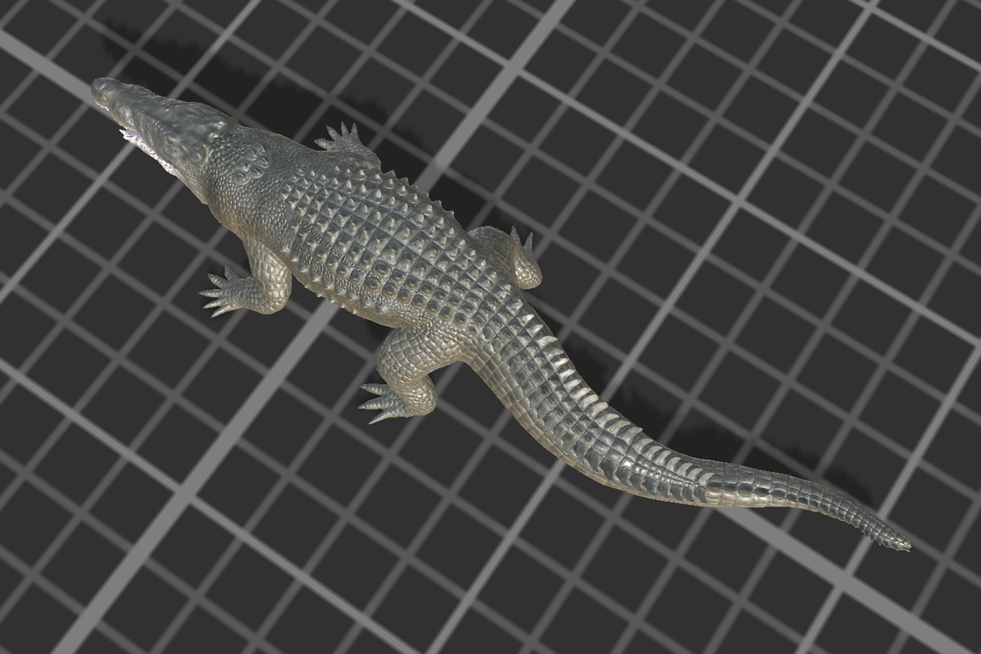 Saltwater Crocodile Low-poly 3D model_10