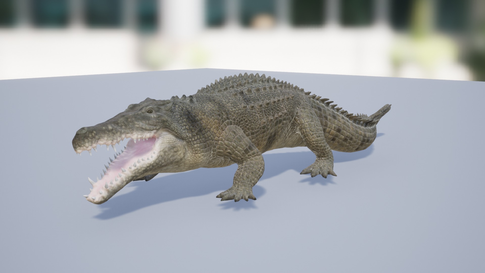 Saltwater Crocodile Low-poly 3D model_3