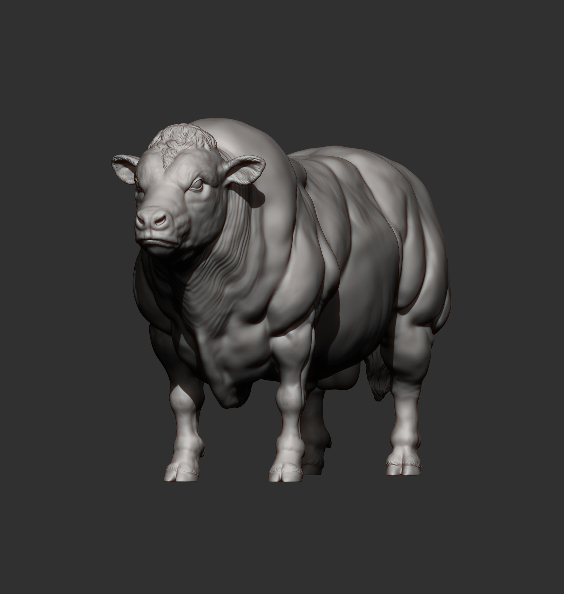 Belgian Blue bull 3D print model_10