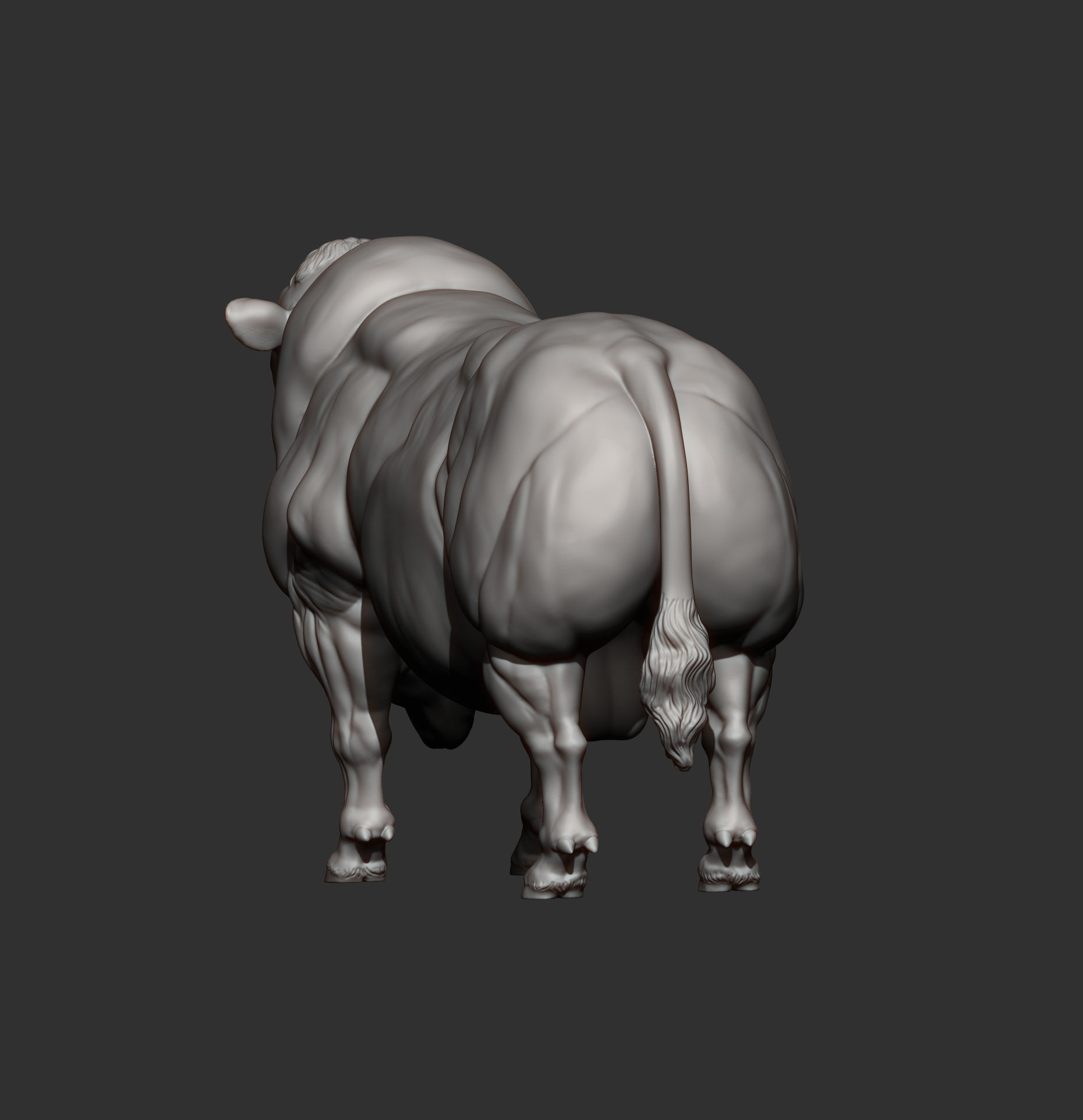 Belgian Blue bull 3D print model_8