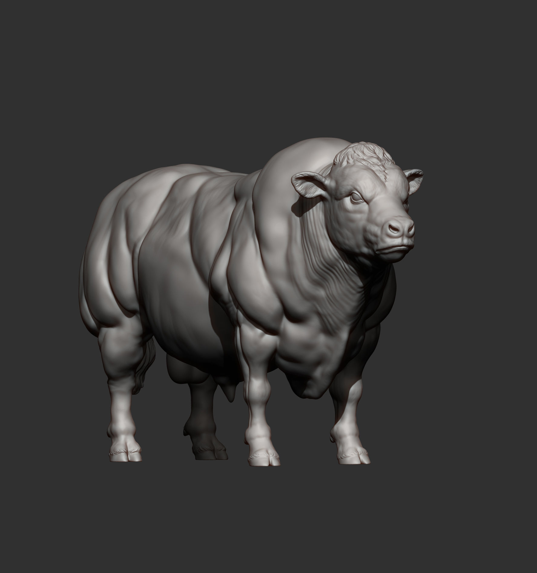 Belgian Blue bull 3D print model_6