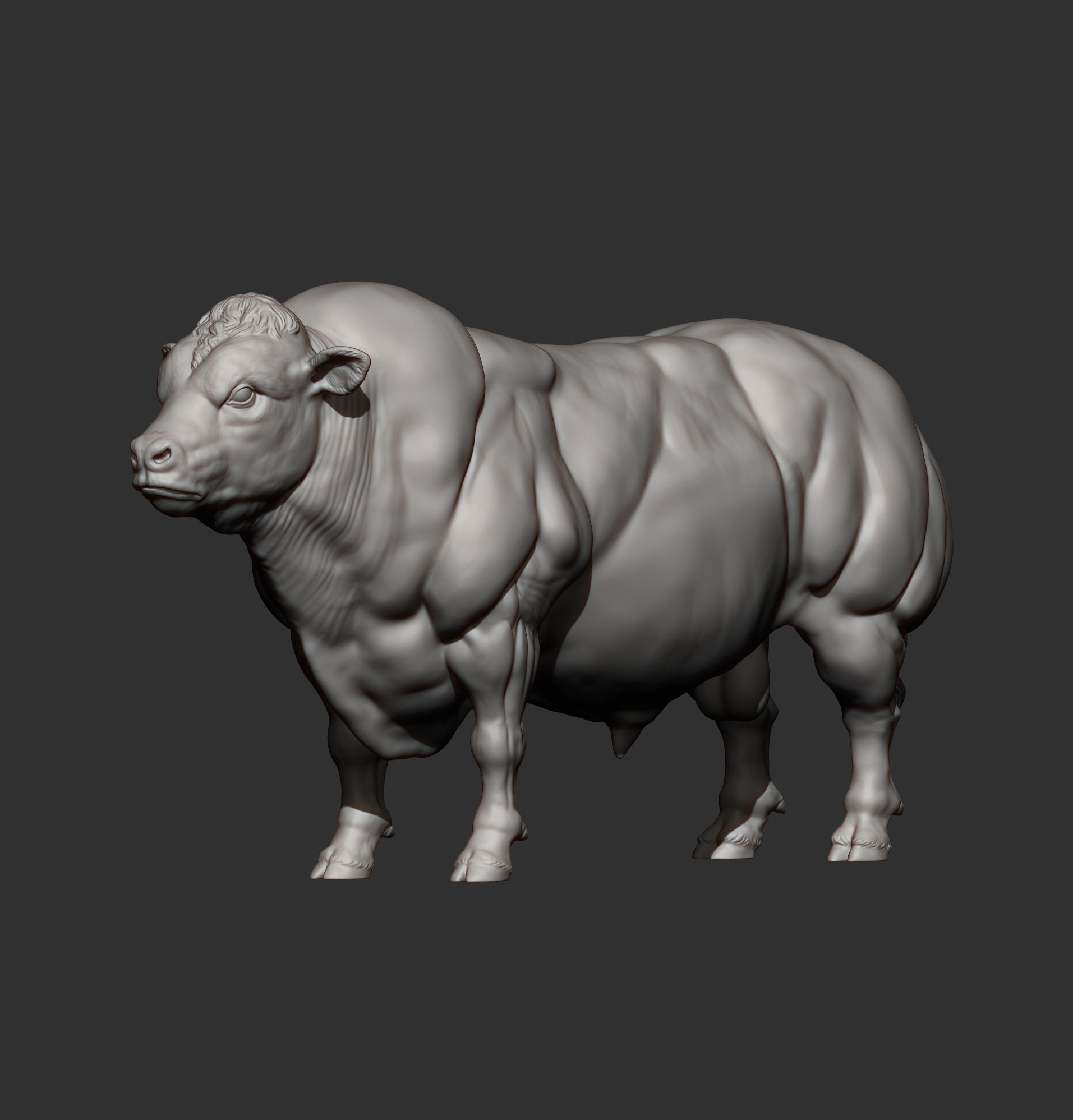 Belgian Blue bull 3D print model_11