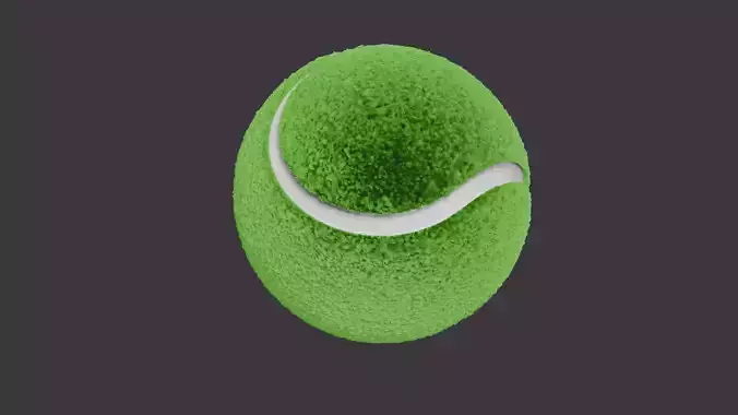 TENNIS BALL WITH HAIRS IN 3D