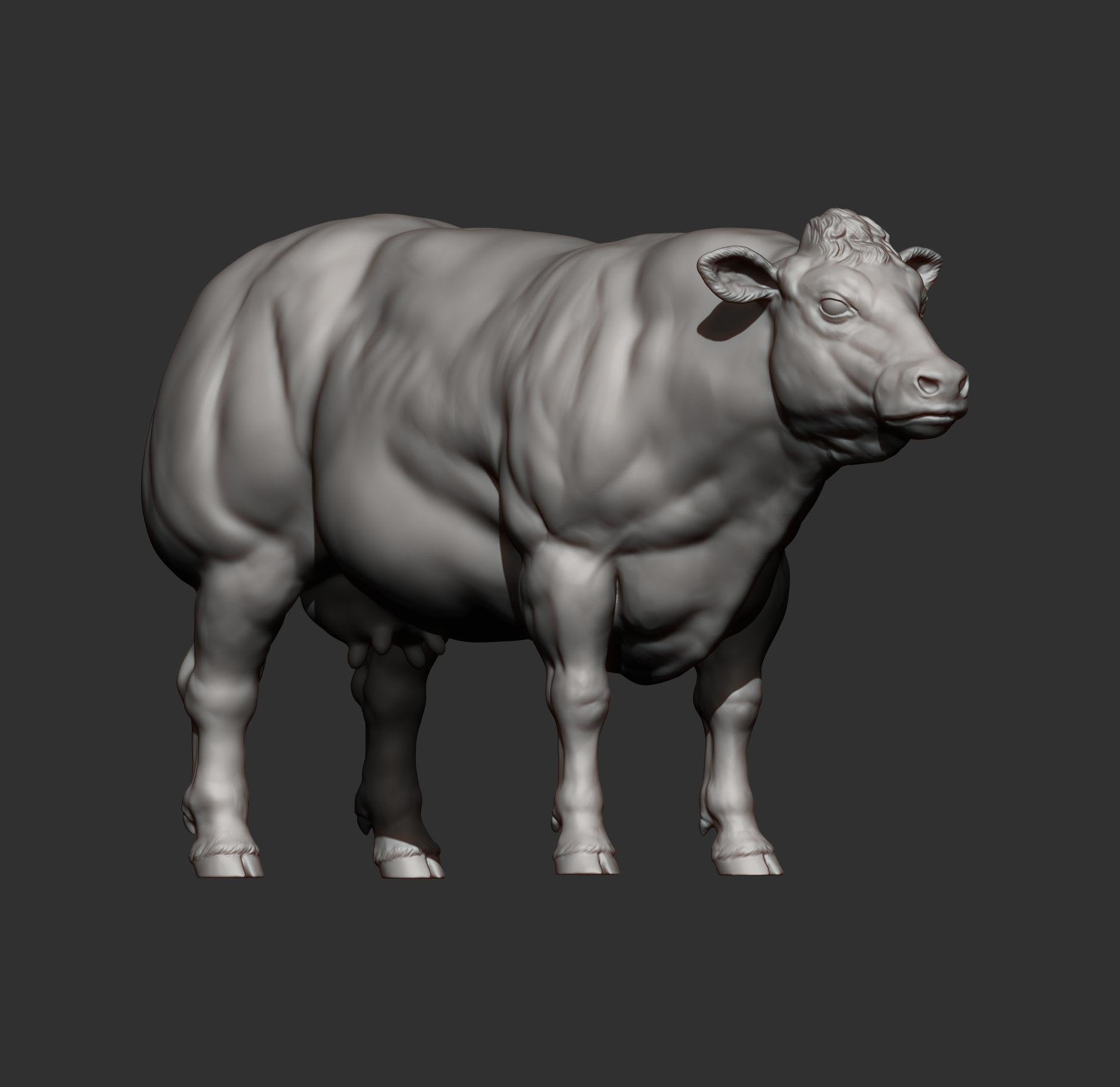 Belgian Blue Cow 3D print model_6