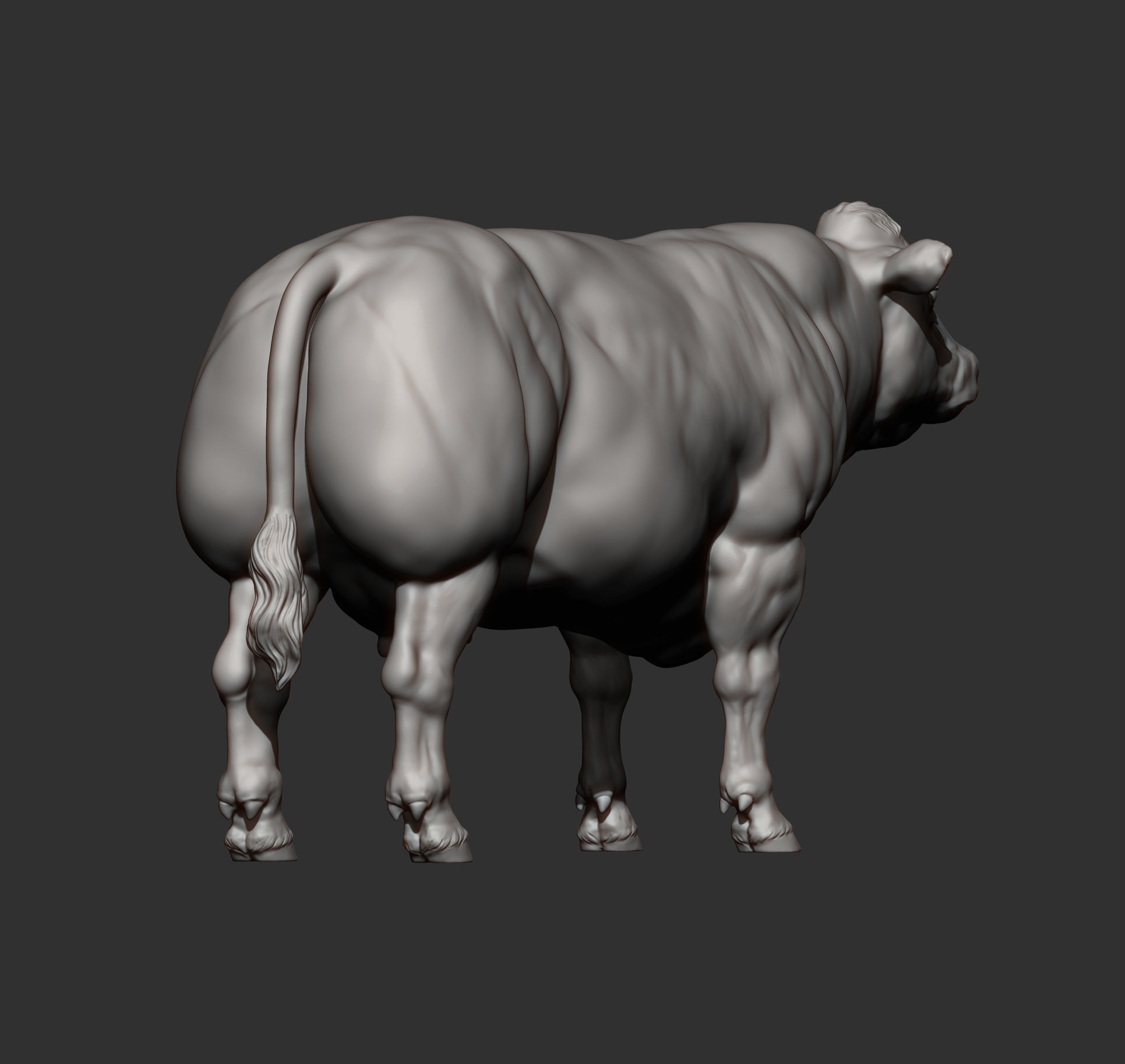 Belgian Blue Cow 3D print model_9