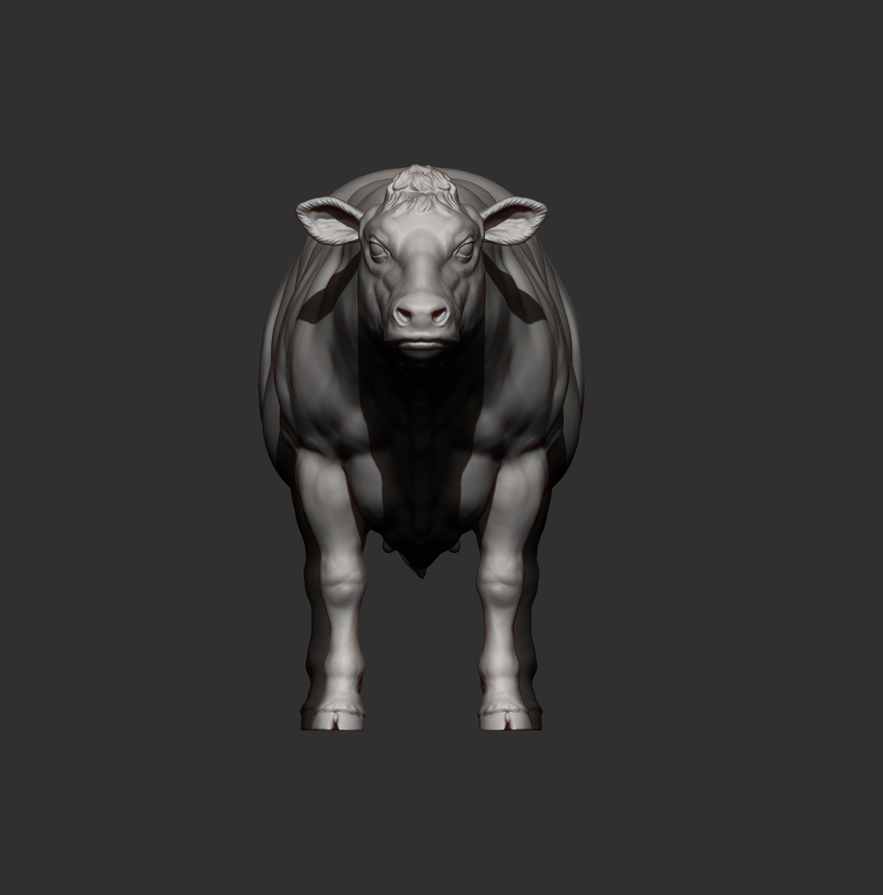 Belgian Blue Cow 3D print model_8