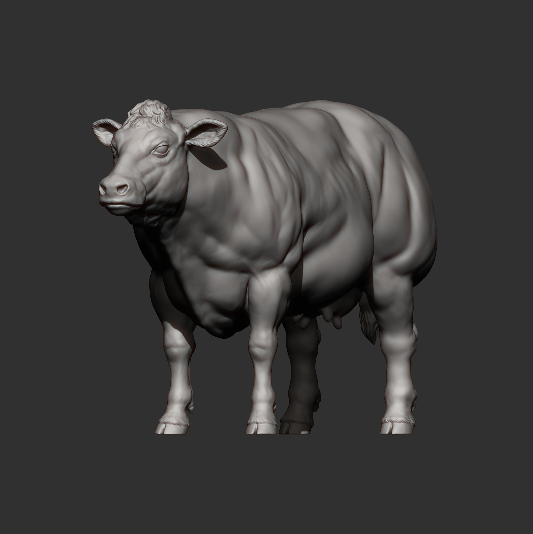 Belgian Blue Cow 3D print model_11